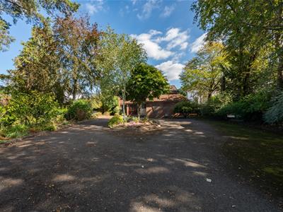 Picture 29